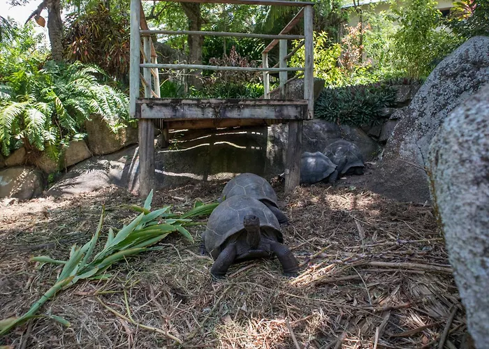 Guest house Domaine Desaubin Luxury 4*