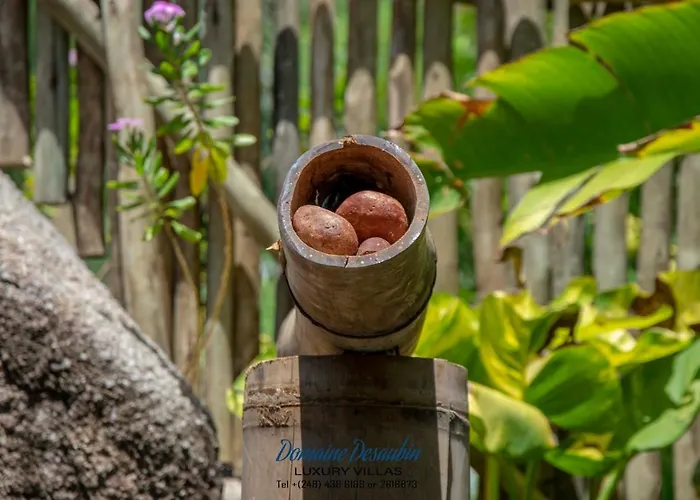Domaine Desaubin Luxury 4* Takamaka