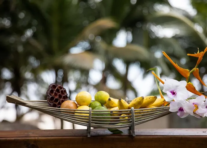 Guest house Domaine Desaubin Luxury