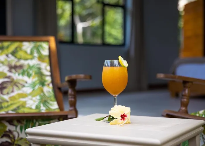 Domaine Desaubin Luxury Guest house Takamaka